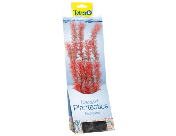 Tetra - Red Foxtail 30cm rastlina plast. L