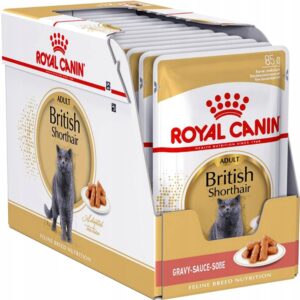 Royal Canin FBN WET BRITISH SHORTHAIR 12x85g