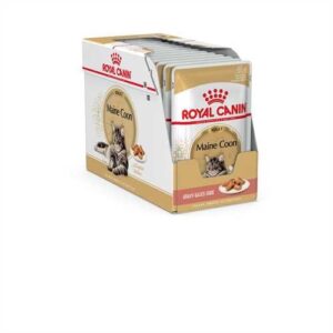 Royal Canin FBN WET MAINECOON 12x85G