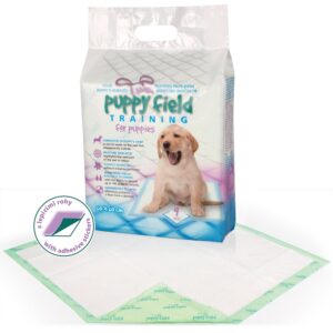 Hygiena a poriadok, Psy, Tréningové podložky - Puppy Field Training pads 9ks/10 handy pack